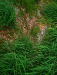 2013-07-13_Regina-F-Rau_Sonnenspitze3 (035).JPG